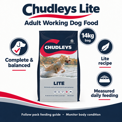Corrected Chudleys Lite infographic