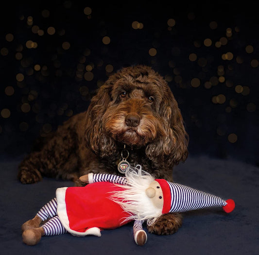 Rosewood Cupid & Comet Christmas Jolly Santa Dog Toy