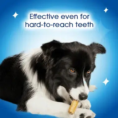 Dog chewing on a treat with text 'Effective even for hard-to-reach teeth' on a blue background