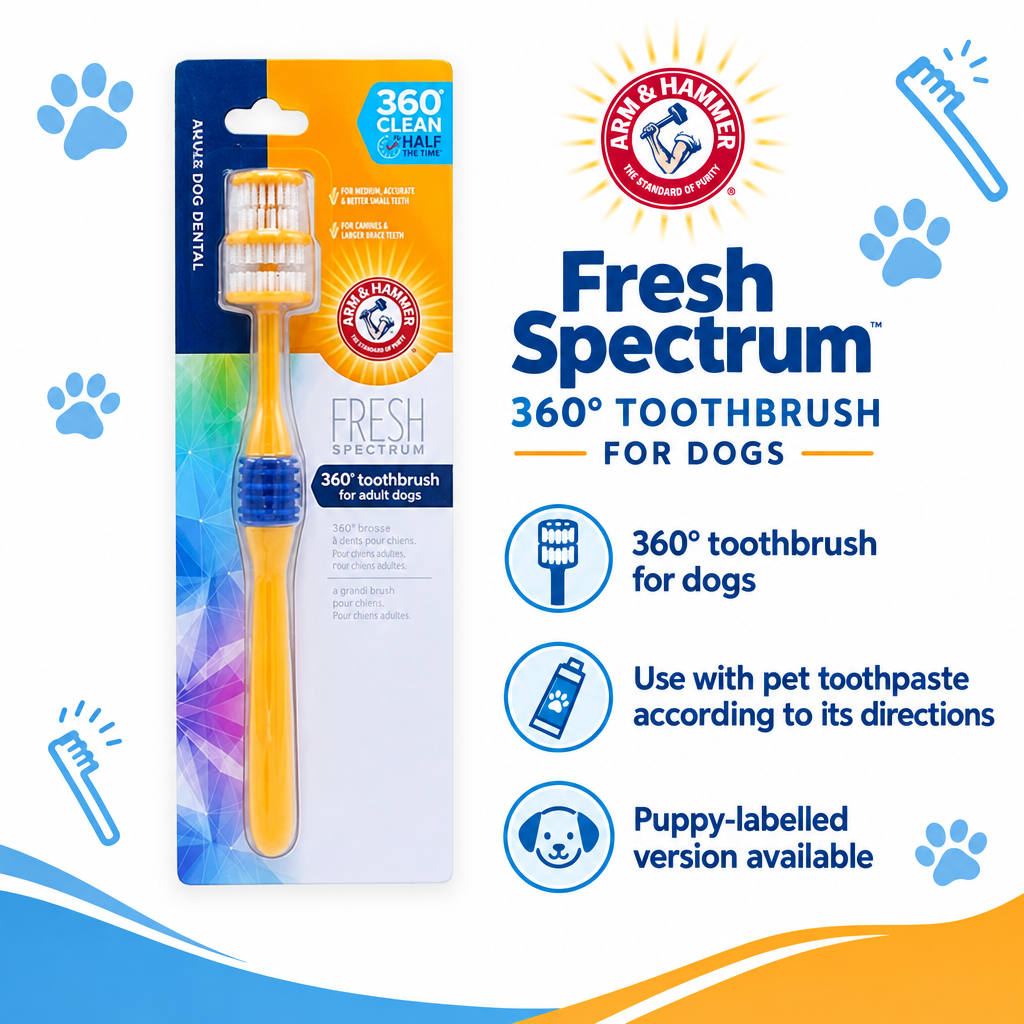 Dog toothbrush infographic draft