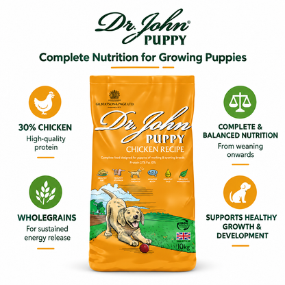 Dr John Puppy Chicken Recipe infographic