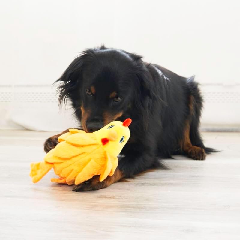 KONG Layerz Forage Hen Medium