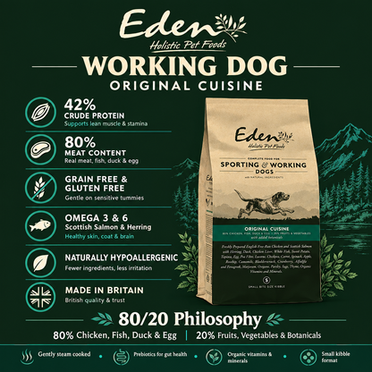 Eden Working Dog Infographic with Packshot