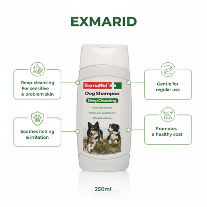 Exmarid Deep Cleansing Shampoo Infographic