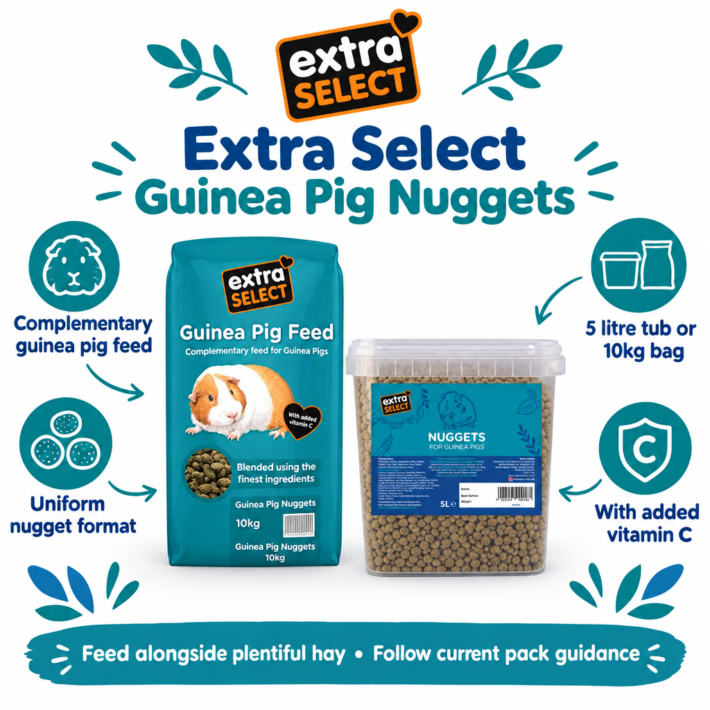 Extra Select Guinea Pig Nuggets infographic