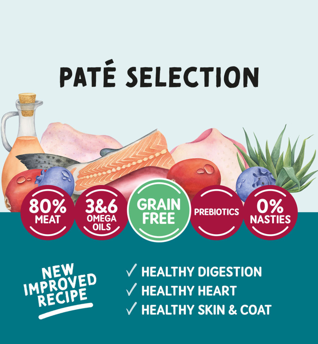 Naturo Adult Cat Pouch Salmon Pate 85g - Case of 12