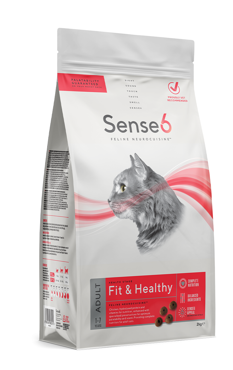 Sense6 Adult Cat Fit & Healthy