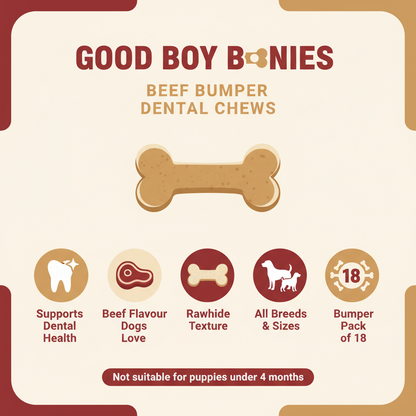 Good Boy Bonies Beef Bumper Infographic