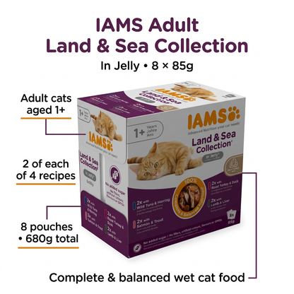 IAMS Adult Land & Sea Collection in Jelly infographic