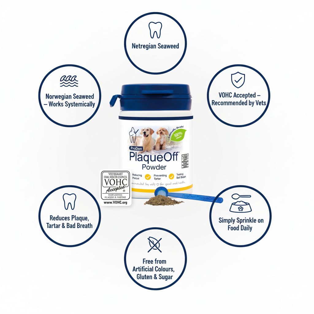 ProDen PlaqueOff Powder Infographic