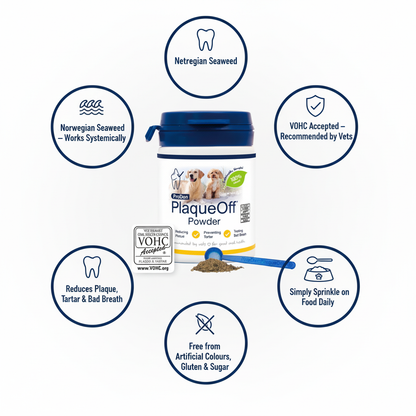 ProDen PlaqueOff Powder Infographic