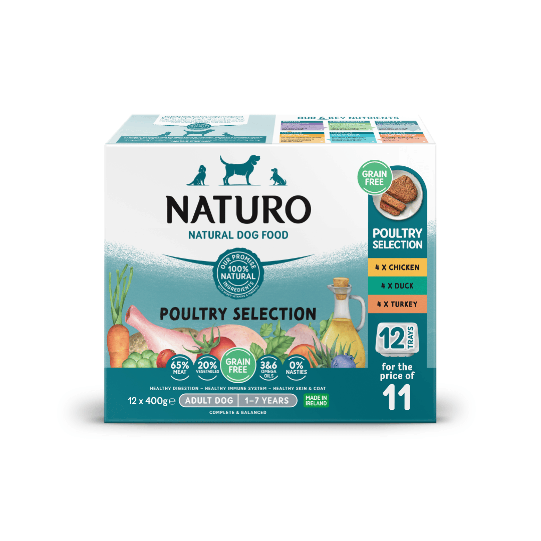 Naturo Adult Dog Pouch Chicken in Herb Gravy 100g - Case of 12