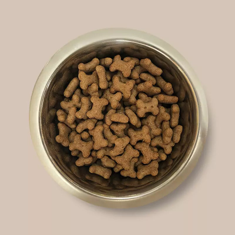 Pointer Peanut Butter Small Bite Bones 10kg - Free P&P