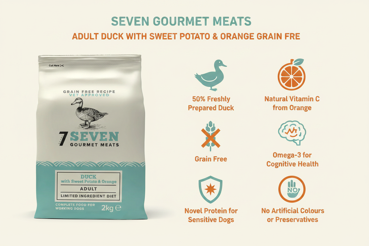 Seven Adult Duck Infographic