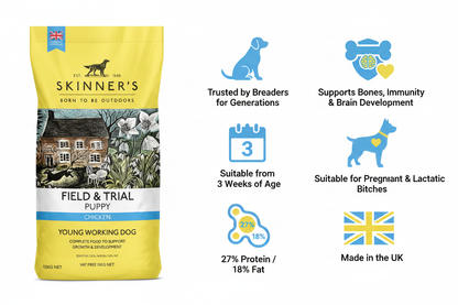 Skinners Puppy Chicken Infographic