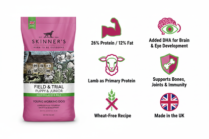 Skinners Puppy & Junior Lamb & Rice Infographic