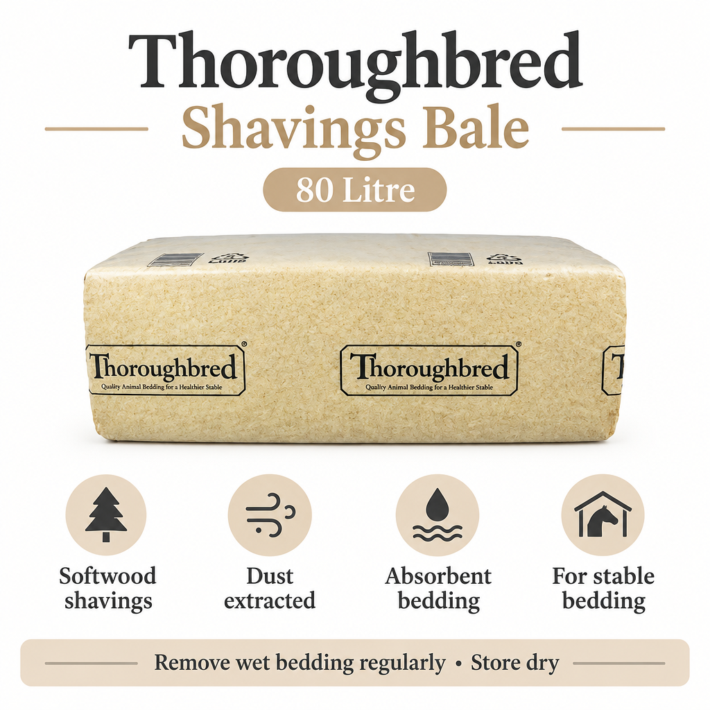 Thoroughbred Shavings Bale infographic
