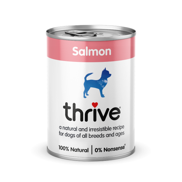 Thrive Dog Can Complete - Salmon 375g x 6