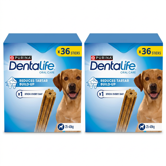 Two Dentalife Large packshots side by side