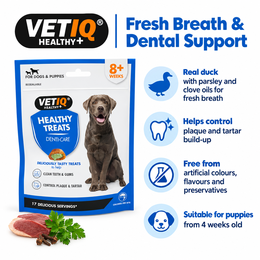 VETIQ Breath & Dental Care infographic