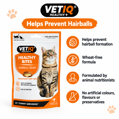VETIQ Hairball Remedy infographic
