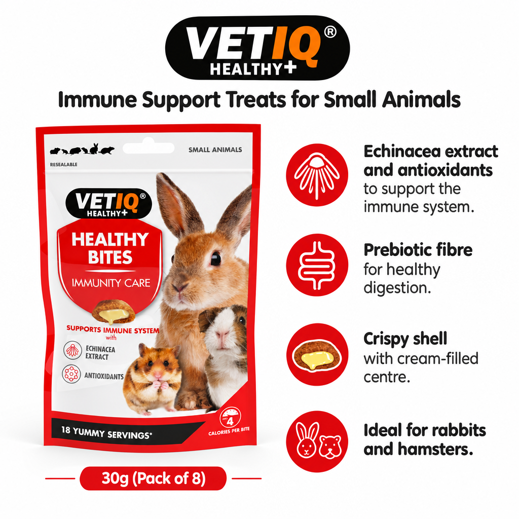 VETIQ Healthy Bites Immunity Care infographic