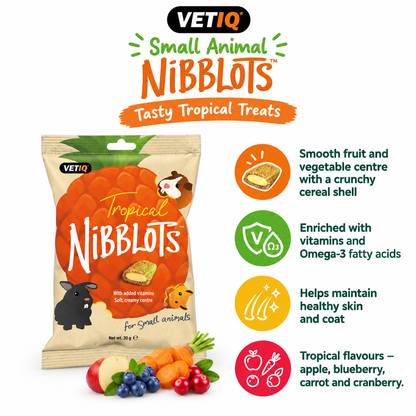 VETIQ Nibblots Tropical infographic