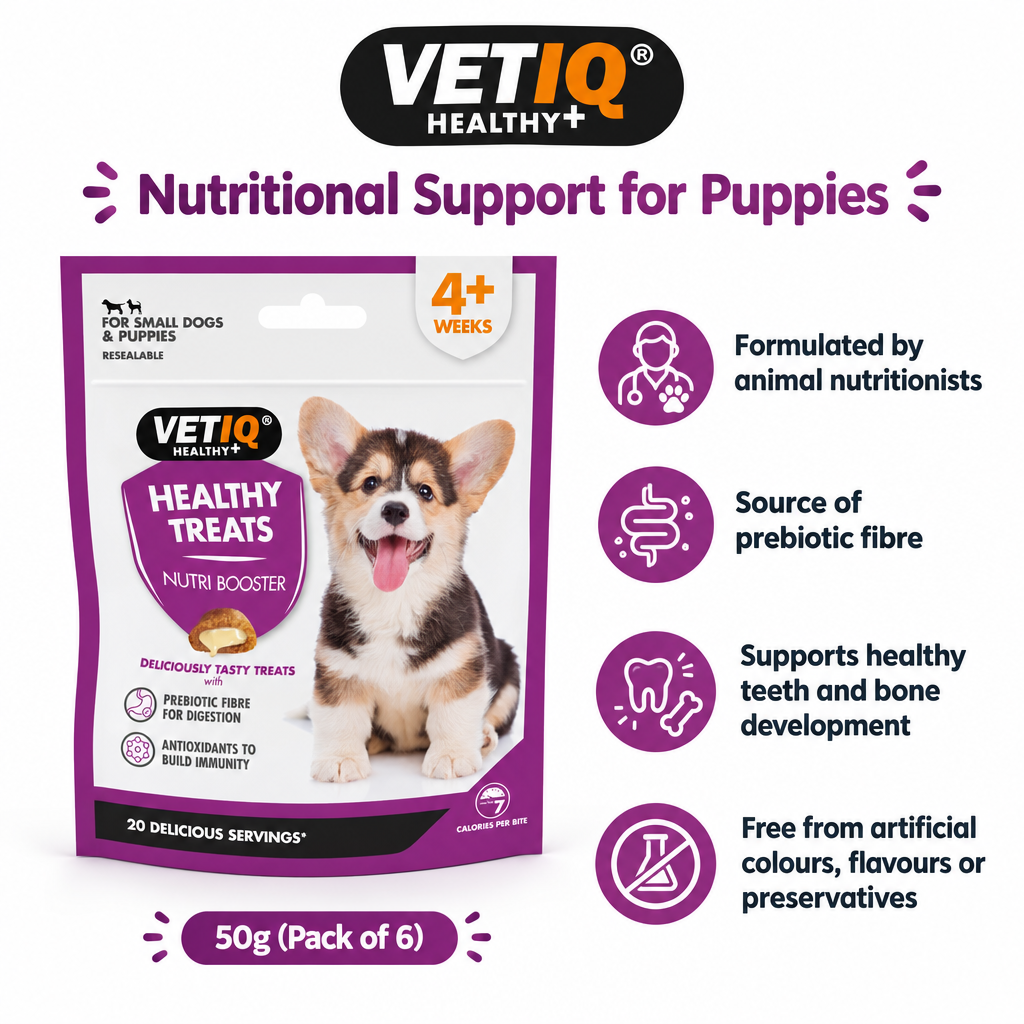 VETIQ Nutri-Booster infographic