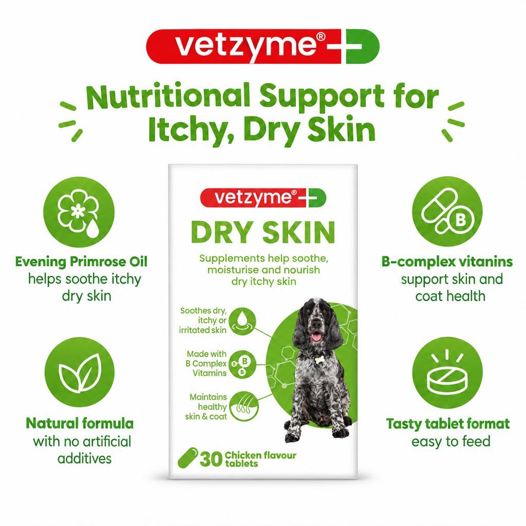 Vetzyme Dry Skin Tablets infographic