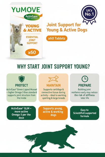 YuMOVE Joint Support Young Dogs Infographic