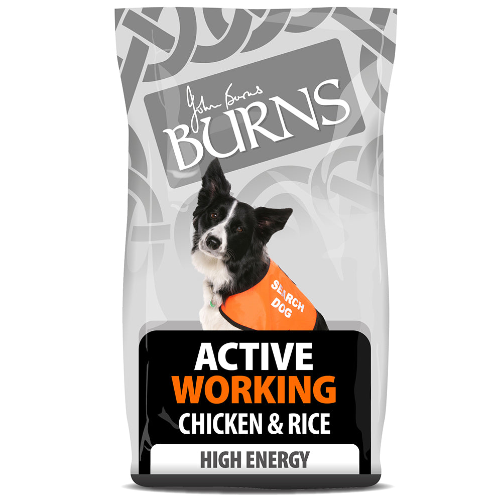 Burns Active Working Dog
