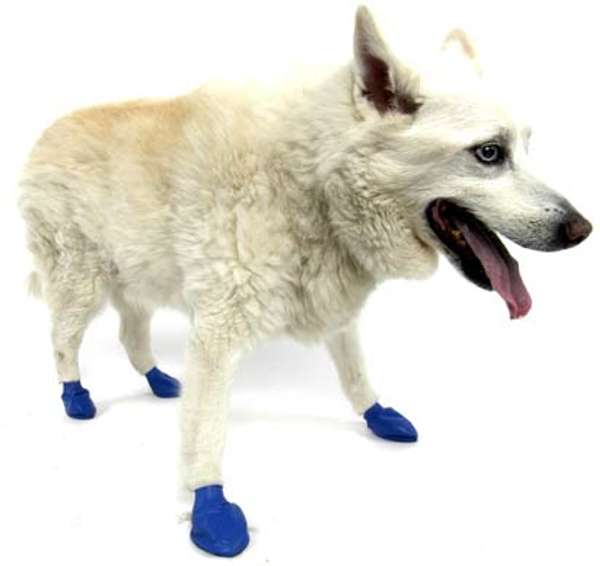 Pawz Dog Boots Green X-Large