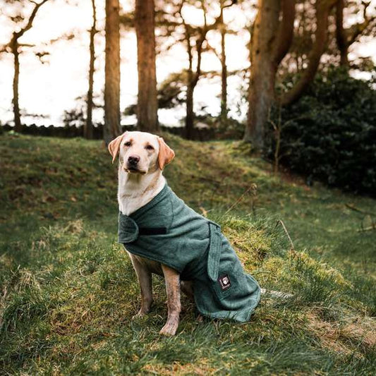 Danish Design Towelling Dog Robe