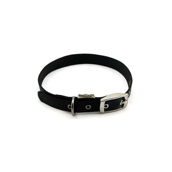 Great & Small Buckle Collar