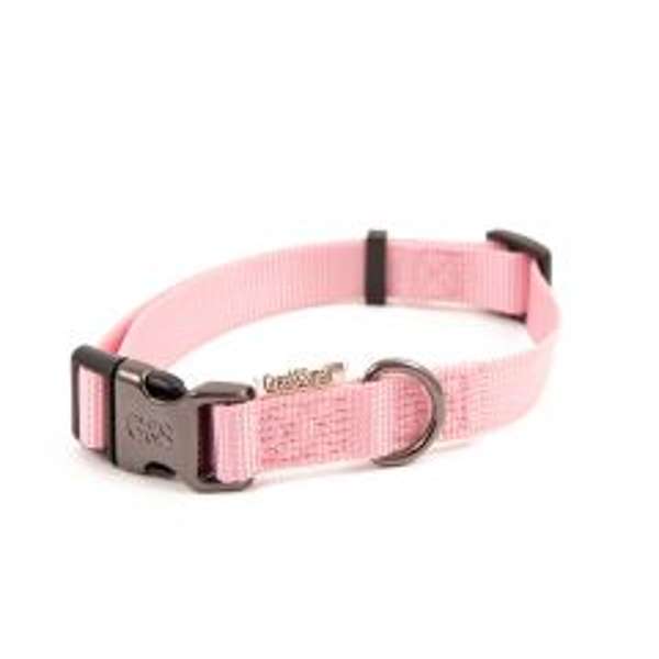 Great & Small Soft Collar