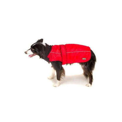 Great & Small Sports Dog Coat Red