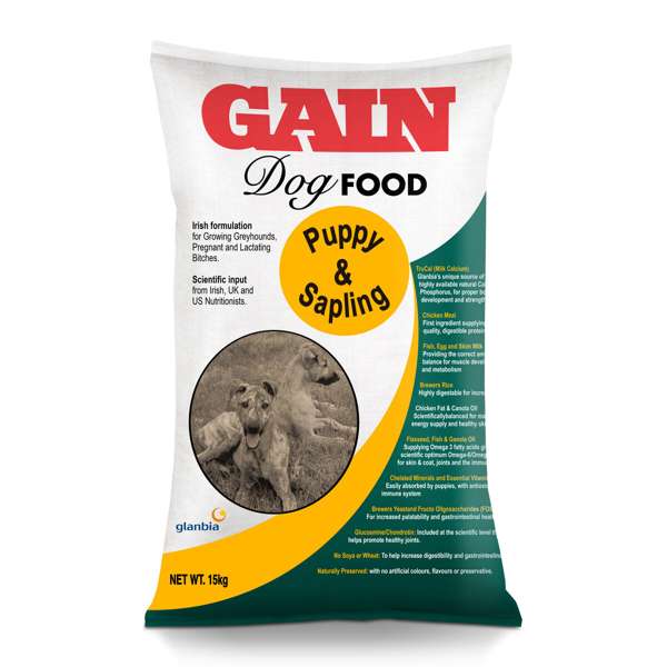 Gain Greyhound Puppy & Sapling