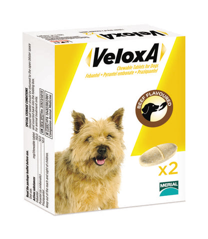 Veloxa Chewable Tablets For Dogs