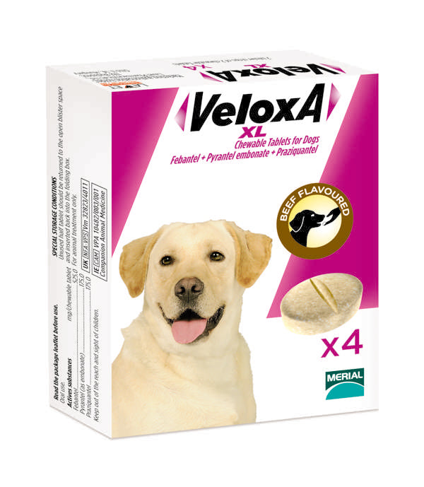 Veloxa X-Large Chewable Tablets For Dogs