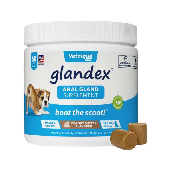 Glandex Anal Gland Support Peanut Butter Soft Chews for Dogs