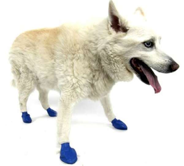 Pawz Dog Boots Yellow Xx-Small