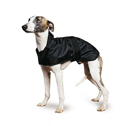Ancol Greyhound  / Whippet Coat Black