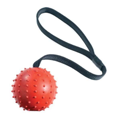 Classic Rubber Pimple Ball On Rope 70mm