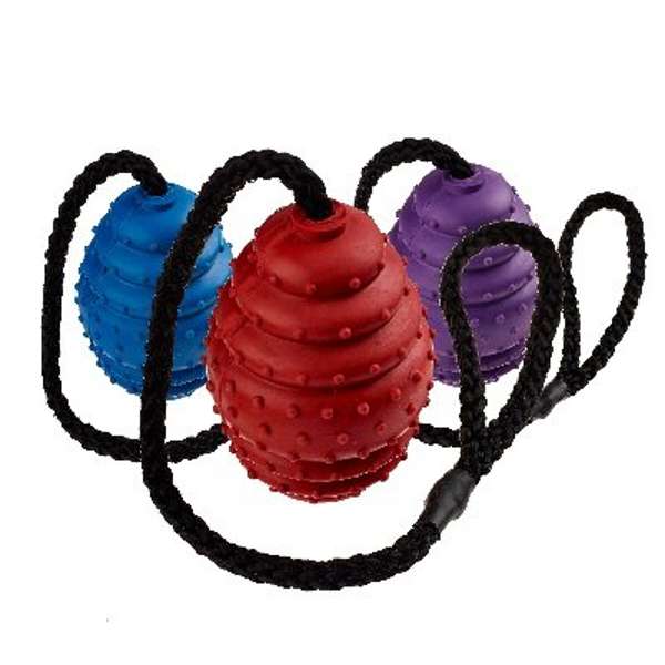 Classic Solid Rubber Oval Ball on Rope