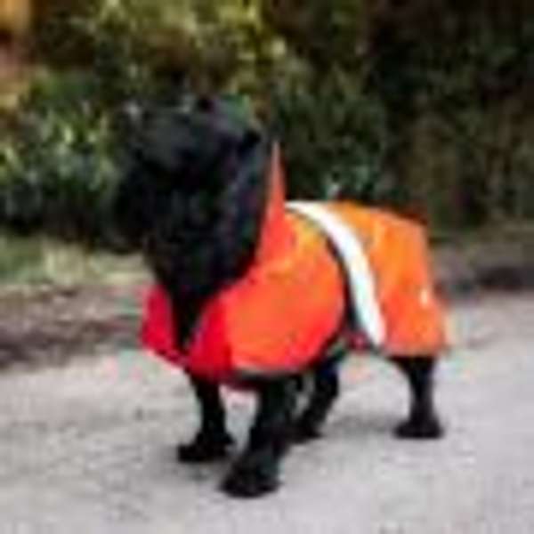 Danish Design Ultimate 2-In-1 Dog Coat