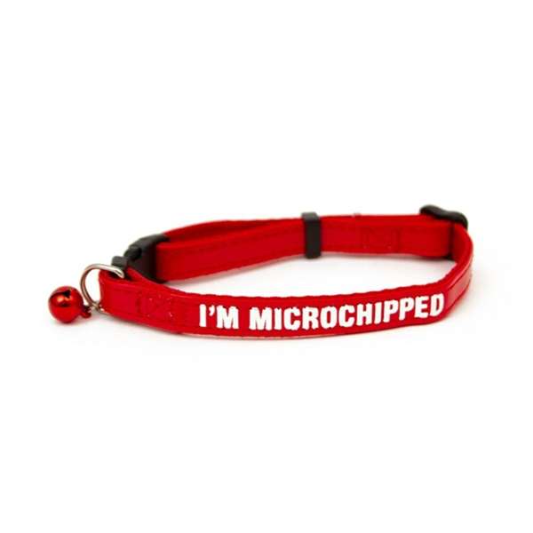 Great & Small Im Microchipped Cat Collar