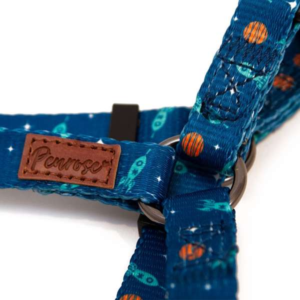 Great & Small Space Harness