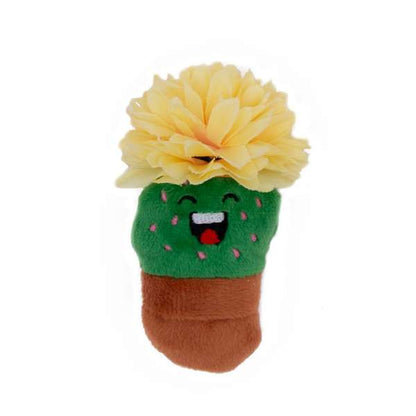 Great & Smallfiesta Cactus Pot