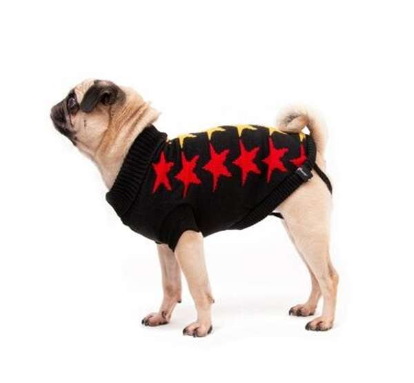 Great & Small Penrose Knit Star Dog Coat