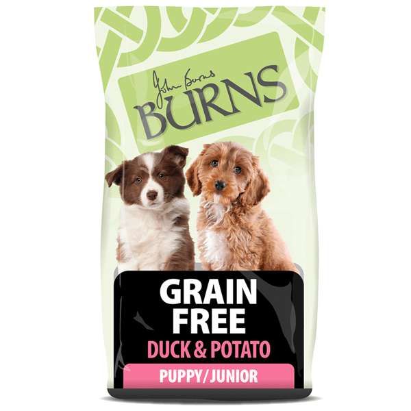 Burns Free From Puppy Duck & Potato Buckwheat